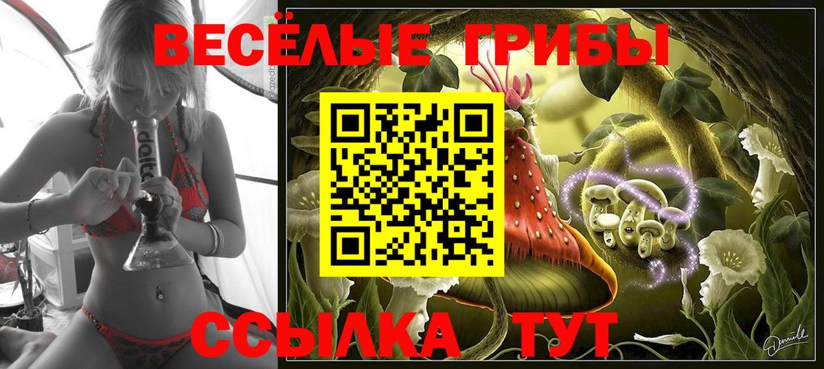 Галлюциногенные грибы мухоморы  Вход с VPN  Красноуфимск 